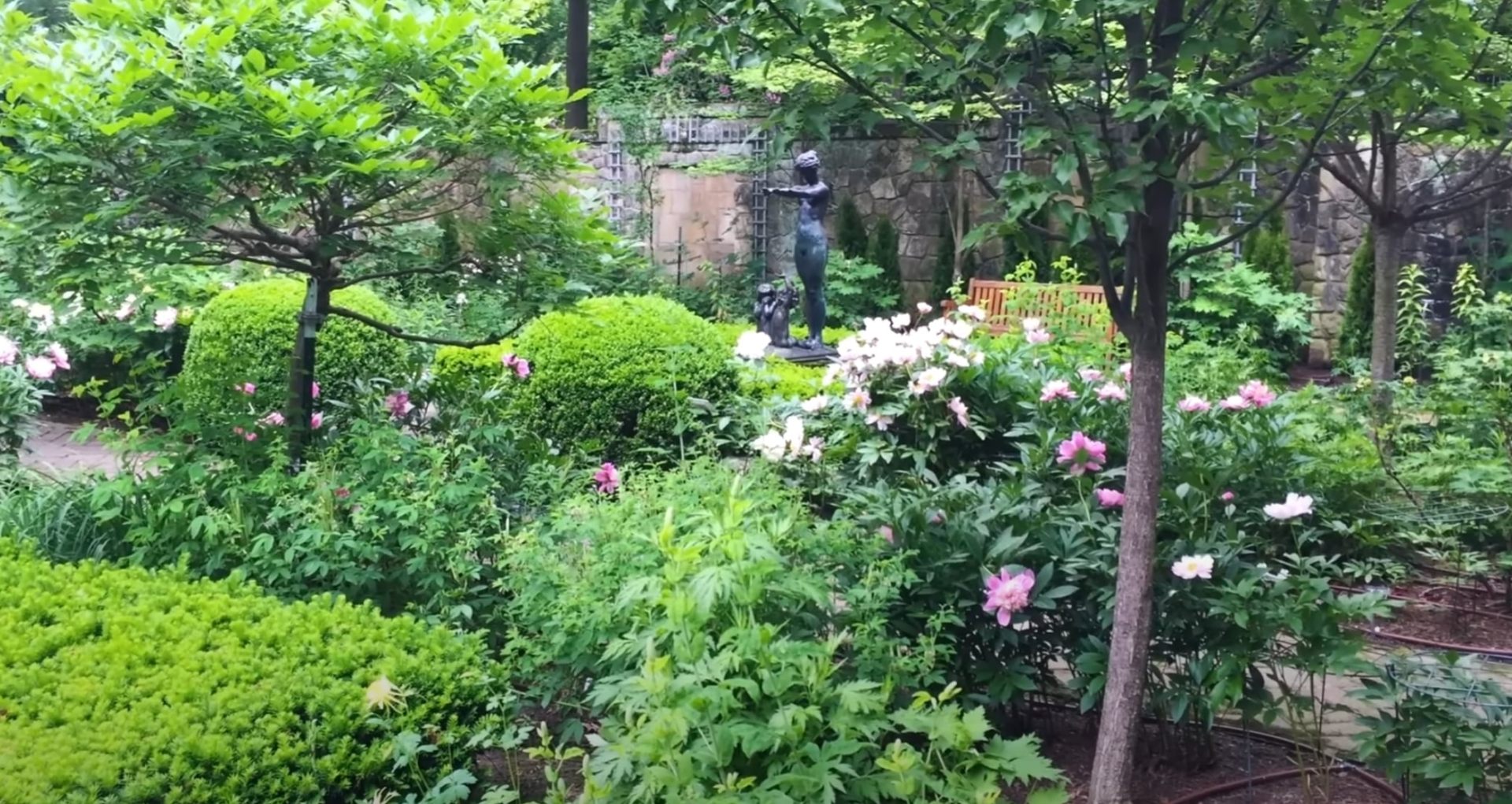 Mature Garden Design with Water Features and Seasonal Plantings Lush garden landscape with mature trees, colorful flowers, and professional water feature installation
